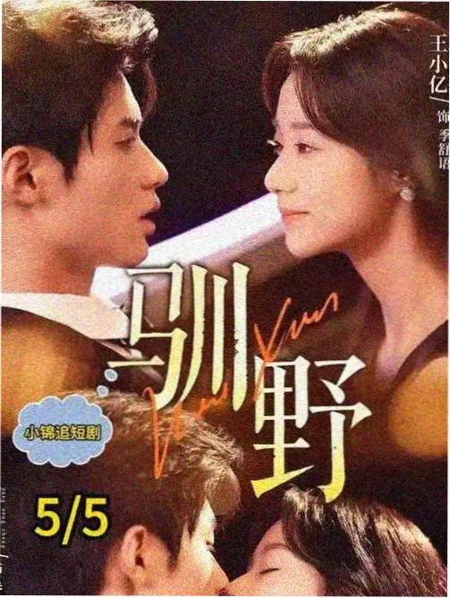 段友影视片单作品静默放映室封面
